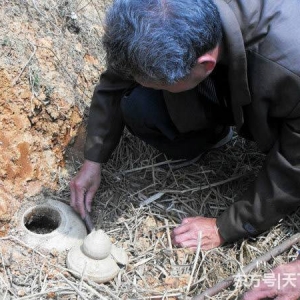 梅山清理雜草時意外挖出“青瓷”，上繳獲300元獎勵！