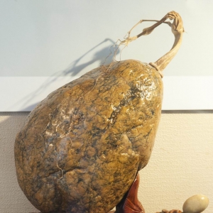 頂呱呱（南流江奇石）金獎