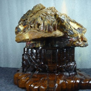 鴻運(yùn)當(dāng)頭（金獎）