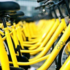 [評論]共享單車事故索賠第一案：內(nèi)生風(fēng)險無法解決
