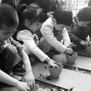杭州市府幼兒園樂享農(nóng)耕文化園開園啦！