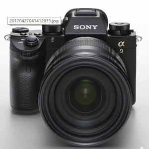 索尼A9的AF性能和1DX、D5勢均力敵