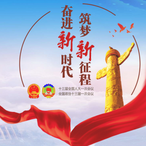兩會：2980名十三屆全國人大代表的代表資格確認(rèn)全部有效