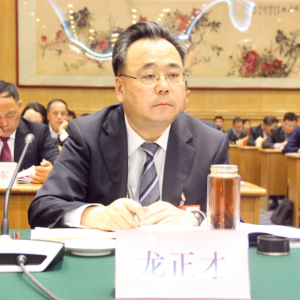 聚焦兩會熱點話題之信息化建設(shè)(湖北)
