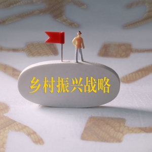 “費(fèi)孝通田野調(diào)查獎”特別主題：春節(jié)返鄉(xiāng)調(diào)查
