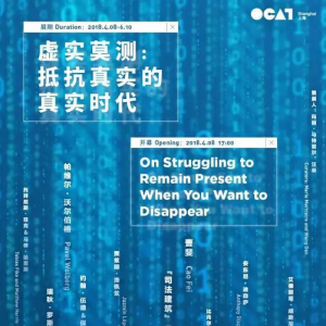 虛實(shí)莫測(cè): 抵抗真實(shí)的真實(shí)時(shí)代