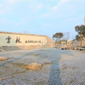 千年“尋根”之旅引游客“點(diǎn)贊” ——廣富林文化遺址一期試運(yùn)營(yíng)首日秩序井然