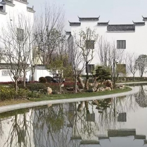 家門口的古徽州你竟不知道？快去打卡上海這座粉墻黛瓦的社區(qū)公園