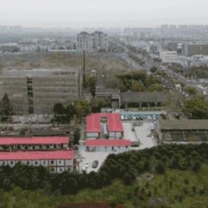 60多歲以色列老校長(zhǎng)，為何選擇到上海創(chuàng)業(yè)，第一家公司要開在（上海）創(chuàng)新園