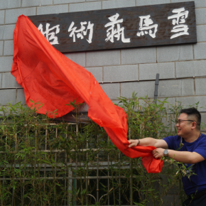雪馬藝術(shù)館在長(zhǎng)沙舉行揭牌儀式