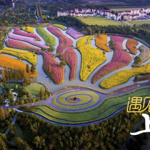1972年6月18日，在金山衛(wèi)海灘，數(shù)十萬民工參與了圍海造田……