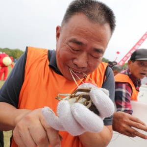 2019年上海寶山湖長(zhǎng)江蟹品鮮節(jié)開(kāi)幕，“蟹王蟹后”花落誰(shuí)家？