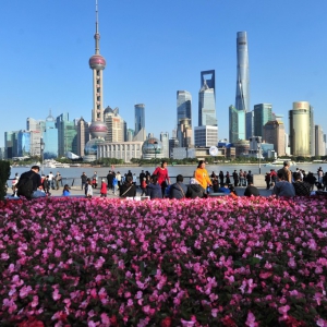 上海街頭花團(tuán)錦簇迎進(jìn)博會(huì) 1340萬盆鮮花點(diǎn)綴街頭