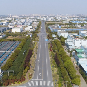 上海金山二工區(qū)“逆襲”？企業(yè)數(shù)“瘦身”一半之后……