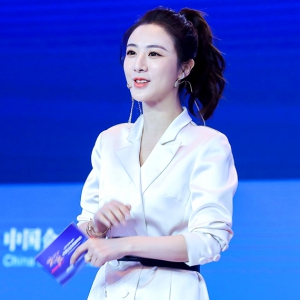 淘寶第一主播薇婭：關(guān)于爆款，希望不是絢爛的煙花，而是威力驚人的核爆