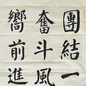 戰(zhàn)疫情|孫孝云:書(shū)法作品