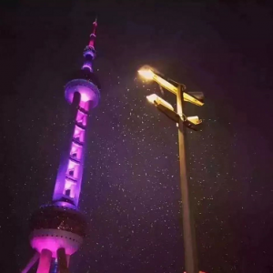 上海入春了，上海下雪了！沒趕上雪景的看這里→