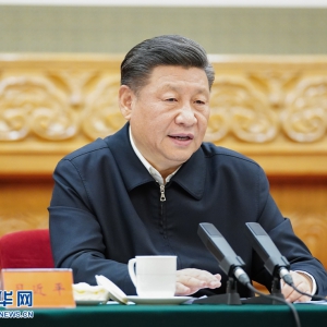 黨中央的決心有多大？看習近平這10段話！
