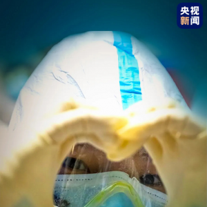 上海援鄂英雄凱旋，奚美娟朗誦《若我歸來》，我們在上海等你們回家！
