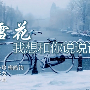 歌曲欣賞《雪花，我想和你說說話》
