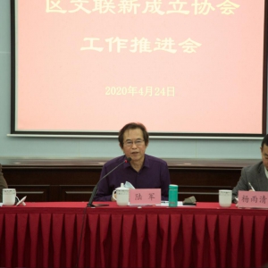 砥礪前行  創(chuàng)新發(fā)展——松江區(qū)文聯(lián)舉辦新成立協(xié)會工作推進會