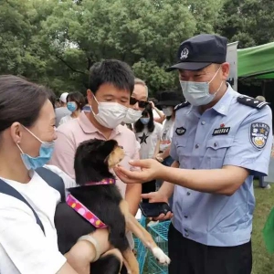 @所有上海人：養(yǎng)狗無證、不牽繩、不帶嘴套……罰！