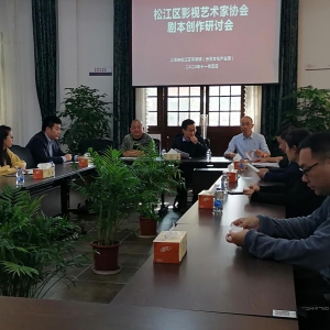 松江區(qū)影視藝術(shù)家協(xié)會(huì)劇本創(chuàng)作研討會(huì)在叁零文化創(chuàng)意園圓滿舉行