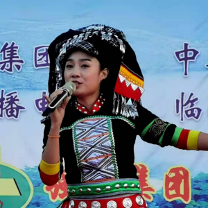《紫砂俊杰》榮獲第八屆亞洲微電影藝術(shù)節(jié)金海棠獎