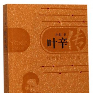 不可復制的傳奇——《葉辛傳》讀后