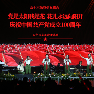 中國行為法學(xué)會(huì)廉政研究委員會(huì)與五十六朵花歌舞團(tuán)聯(lián)合主辦慶祝中建黨百年大型獻(xiàn)禮演唱會(huì)