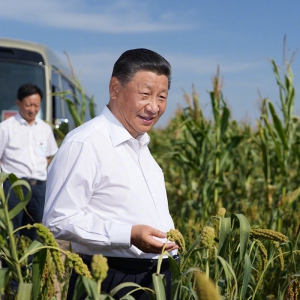習近平在陜西榆林考察調(diào)研