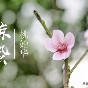 驚蟄前后釣魚，掌握這3個(gè)規(guī)律，下竿就能中魚