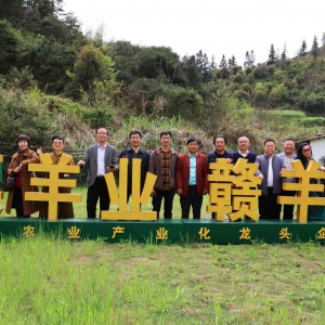 江西萍鄉(xiāng)市辭賦學(xué)會(huì)——杉木采風(fēng)作品輯