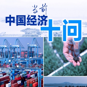當(dāng)前中國(guó)經(jīng)濟(jì)十問(wèn)