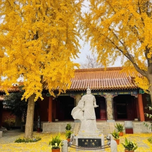 一部悲壯愛(ài)情微詩(shī)劇感動(dòng)北京東京