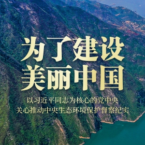 為了建設(shè)美麗中國——以習(xí)近平同志為核心的黨中央關(guān)心推動中央生態(tài)環(huán)境保護(hù)督察紀(jì)實