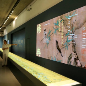 走進杭州國家版本館感受文化生命力：江南文脈，在眼前流淌成河