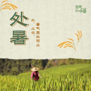 節(jié)氣里的中國丨處暑：最好新秋時