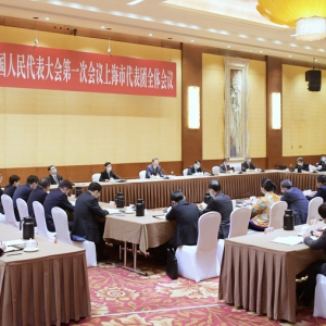 陳吉寧參加上海代表團審議：奮力譜寫中國式現(xiàn)代化的上海新篇章