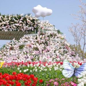 上海金山推動(dòng)“旅游+”融合發(fā)展：全域旅游多點(diǎn)開(kāi)花