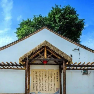激活鄉(xiāng)土文化生命力（現(xiàn)場(chǎng)評(píng)論）