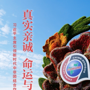 真實(shí)親誠 命運(yùn)與共——習(xí)近平主席引領(lǐng)新時(shí)代中非團(tuán)結(jié)合作述評(píng)