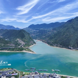 重慶：長(zhǎng)江巫峽段現(xiàn)“涇渭分明”鴛鴦景觀