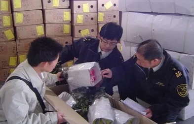進(jìn)口清關(guān)貨代能夠有效幫助企業(yè)降低成本